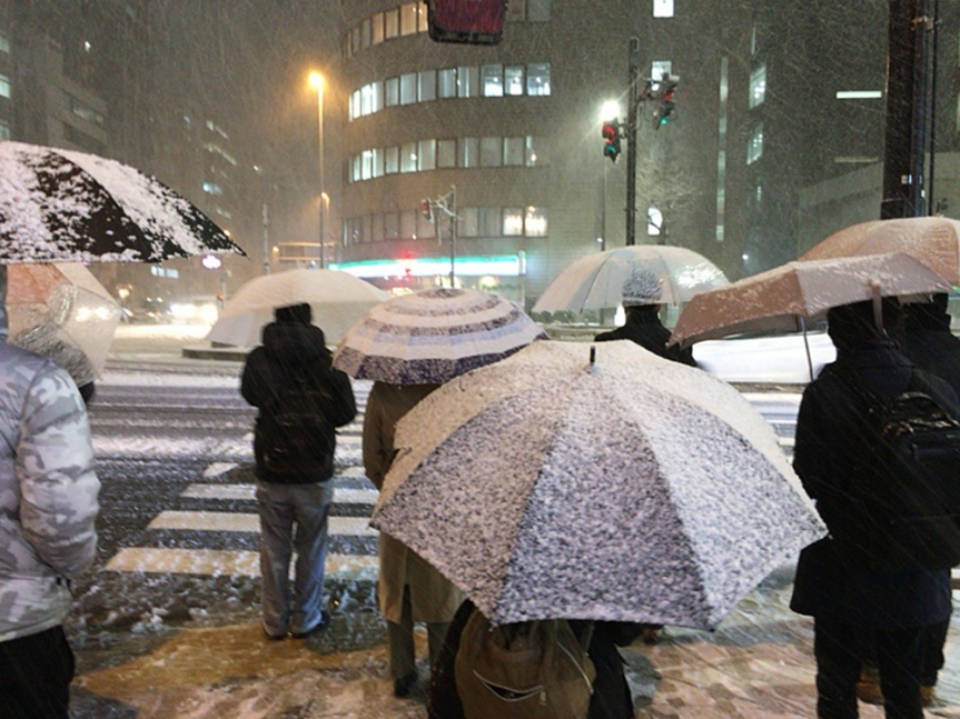 It snowed last night in Tokyo!